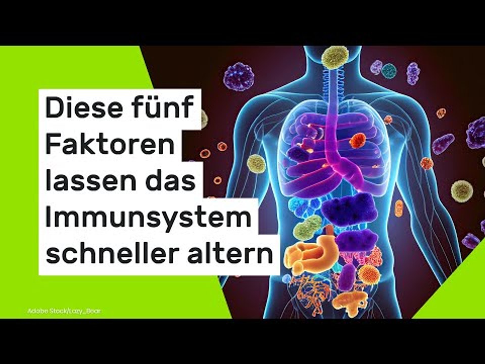 Diese fünf Faktoren lassen das Immunsystem schneller altern