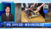 ‘셀프 조사’ 논란에…쿠팡 “정부 지시 따랐다”
