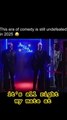 This Era of Comedy is Undefeated #funny #shorts #shortsfeed #funnyshorts