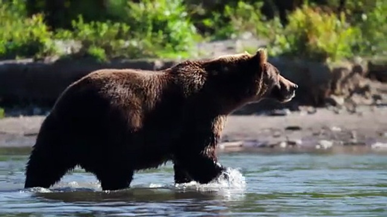 Inside the Enchanted Waterways S01E03