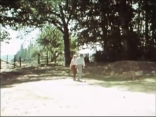 Die Abenteuer von Tom Sawyer und Huckleberry Finn E25-Freiheit für Jim