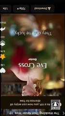 The Wedding That Never Was - FULL MOVIES ENGLISH SUB