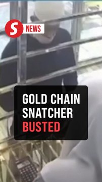 Chain reaction: Would-be thief foiled by quick customer