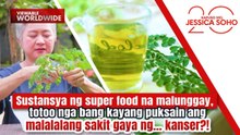 Malunggay, totoo nga bang kayang puksain ang sakit gaya ng kanser?! | Kapuso Mo, Jessica Soho