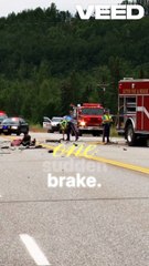 Highway pileups aren’t about speed — they’re about reaction gaps and chain physics. One brake can crash many. 🚧