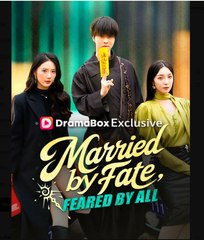 Married by Fate Feared by All Chinese Drama - English Sub