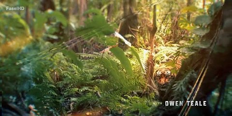 مسلسل Sandokan الموسم الاول الحلقة 8 والاخيرة مترجمة - توب سينما