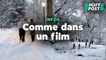 En pleine tempête neige, Central Park s'est transformé en paysage de film de Noël