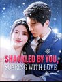Watch Shackled by You Soaring With Love Chinese Drama - english sub