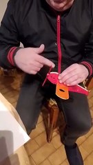 LUCAPLANE JUNIOR LJ - 1 : Avion Moto-Cerf-Volant à aile rigide, de vol libre, et propulsion par moteur élastique