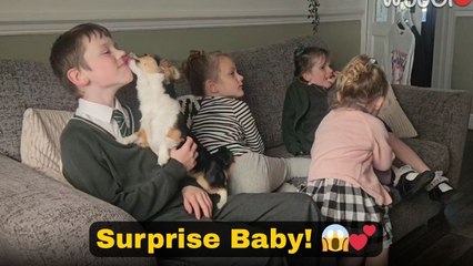 Kids react adorably after learning they are getting a new sibling