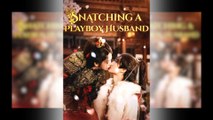Snatching a Playboy Husband Full Movie