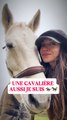 Enfin un peu pour moi et mon cheval ! On arrive encore plus de contenus équestres ✨