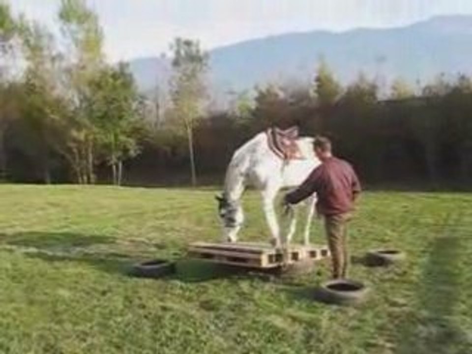Jeanmi et Pépite - Passage du pont basculant
