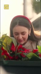 Mistaken Surrogacy Christmas Destiny FULL EPISODE