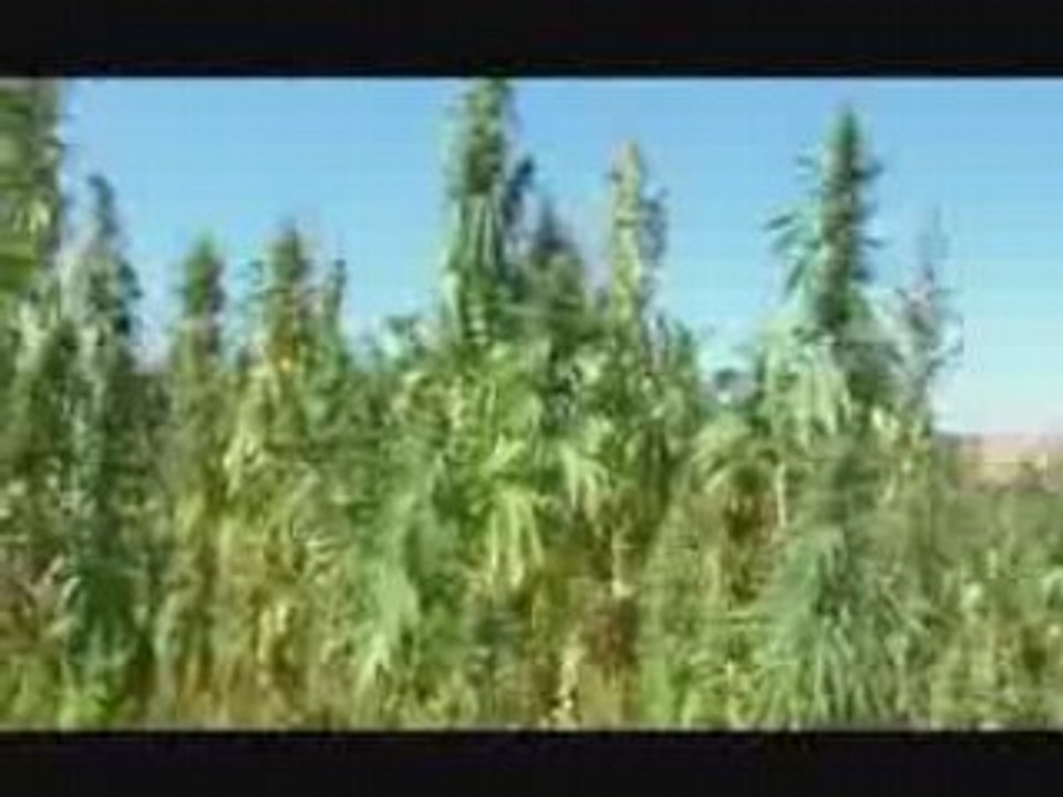 Morocco , route to Ketama city cannabis