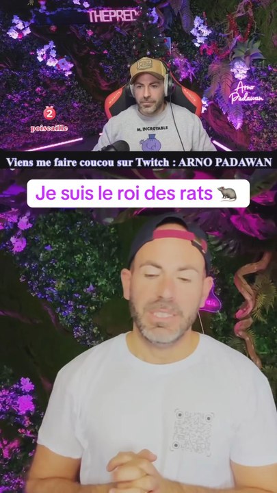 le roi des rats