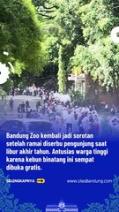 Bandung Zoo Kembali Ditutup Usai Diserbu Pengunjung, Izin Pemkot Bandung Jadi Sorotan Publik