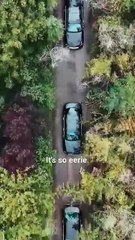 FLIP THE DAY THE BOUQUET OF REVENGE