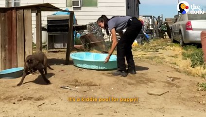 Woman Rescues Dog Left Tied Up In 100 Degree Heat | Emotional Animal Rescue