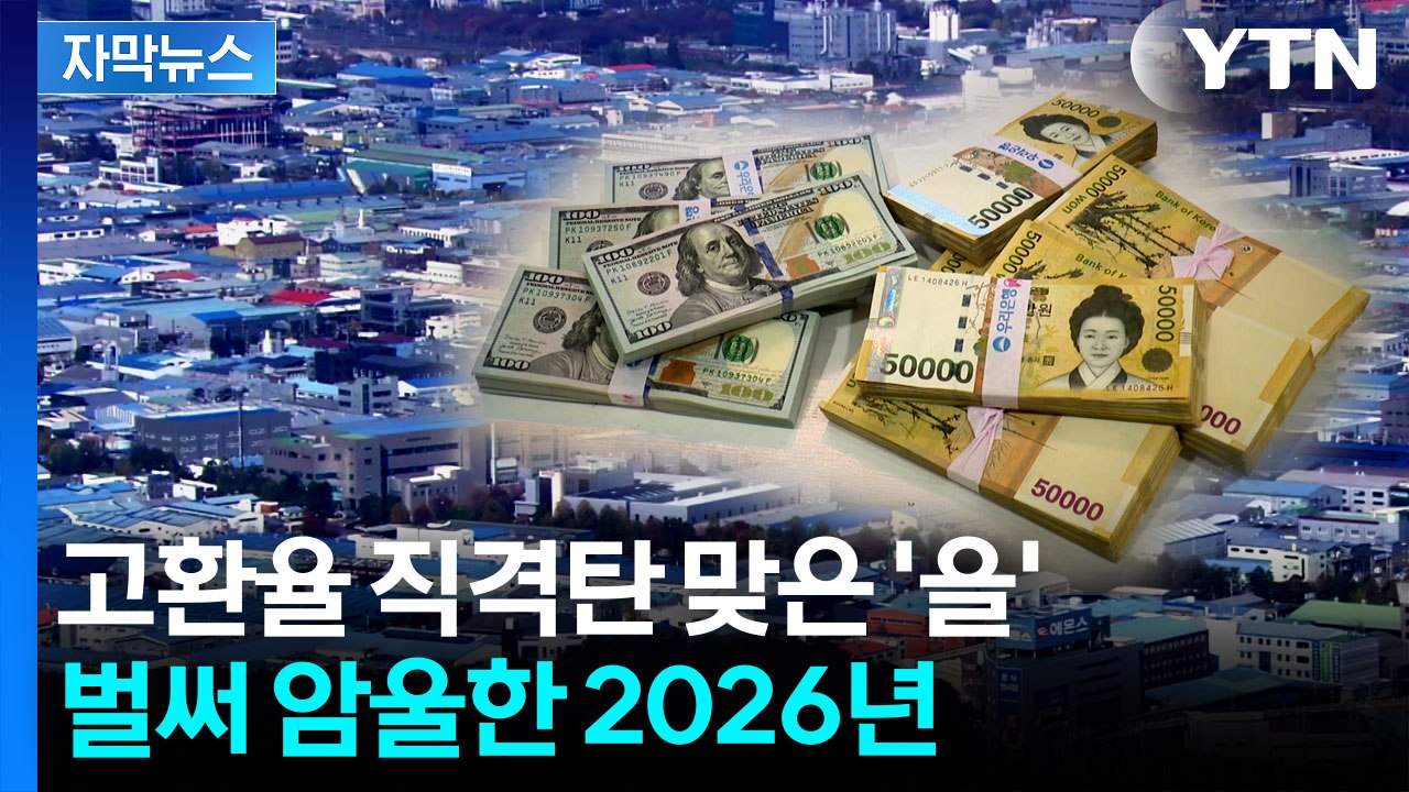 [자막뉴스] 이미 깨져버린 공식...고환율 속 암담한 전망 / YTN