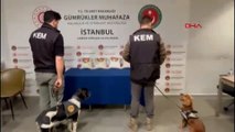 Gümrüklerde 1 milyar 26 milyon lira değerinde uyuşturucu ele geçirildi