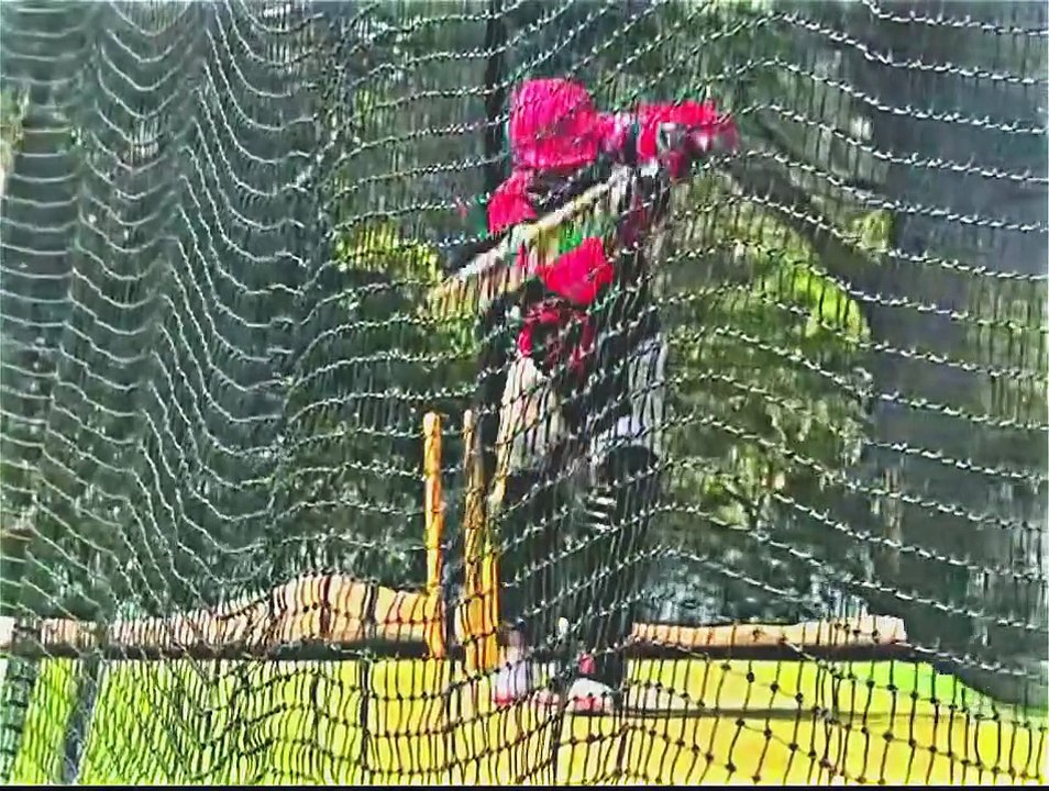 Babar azam is my world