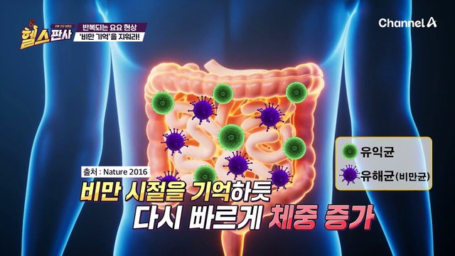 요요 없는 체중 감량은 BNR17 유산균과 함께! 장도 튼튼! 안 빠지던 뱃살도 사라졌다?!