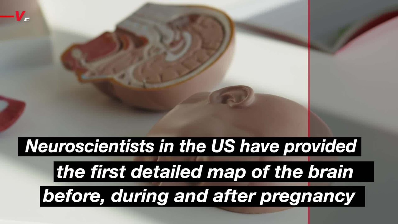 Neuroscientists Just Found Major Brain Changes During Pregnancy — Here’s What They Discovered