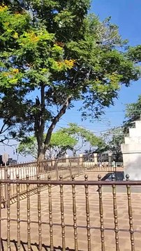 Srisailam lo sigaram Shri har har Mahadev Andhra Pradesh