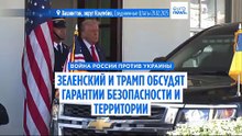 Зеленский и Трамп обсудят гарантии безопасности Украины и территориальные вопросы