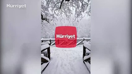 Yedigöller Milli Parkı beyaza büründü