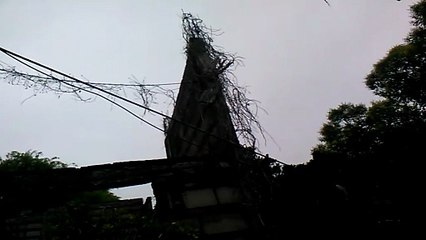 ¿Por qué atrae tanto los días grises y la lluvia? - Tacuarembó 11/12/2025