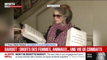 Franz-Olivier Giesbert, journaliste et ami de Brigitte Bardot réagit à son décès