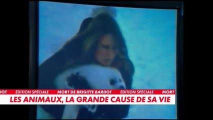 Brigitte Bardot : les animaux, la grande cause de sa vie