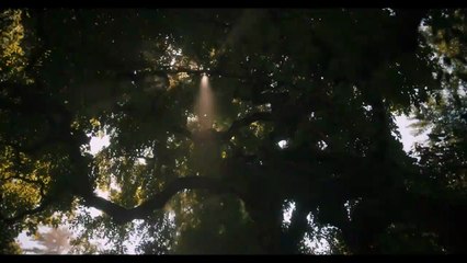 Segundo tráiler en español de Dune: Parte dos