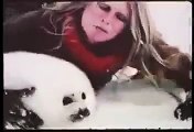 Brigitte Bardot avec un bébé phoque sur la banquise canadienne (1977)