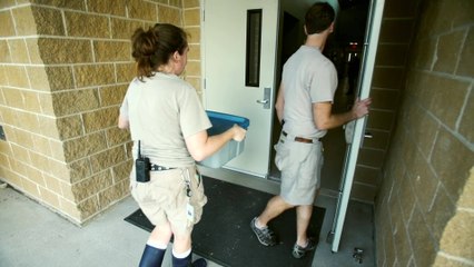 Rescued Sea Turtles Are Treated and Released Back Into the Ocean