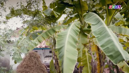 THAM VỌNG GIÀU SANG Tập 1 - Phim truyền hình Việt Nam