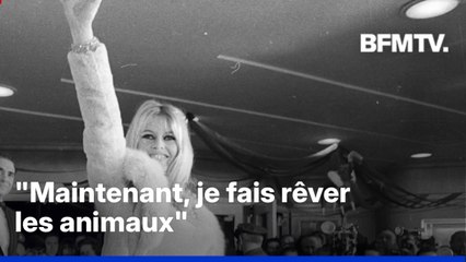 Brigitte Bardot, itinéraire d'une icône sulfureuse