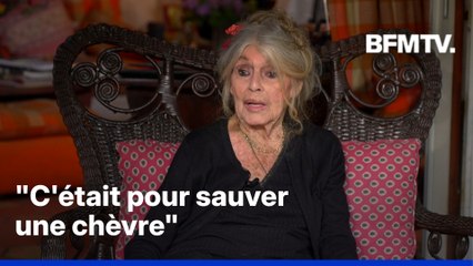 Mort de Brigitte Bardot: quand l'actrice racontait à BFMTV pourquoi elle avait arrêté le cinéma