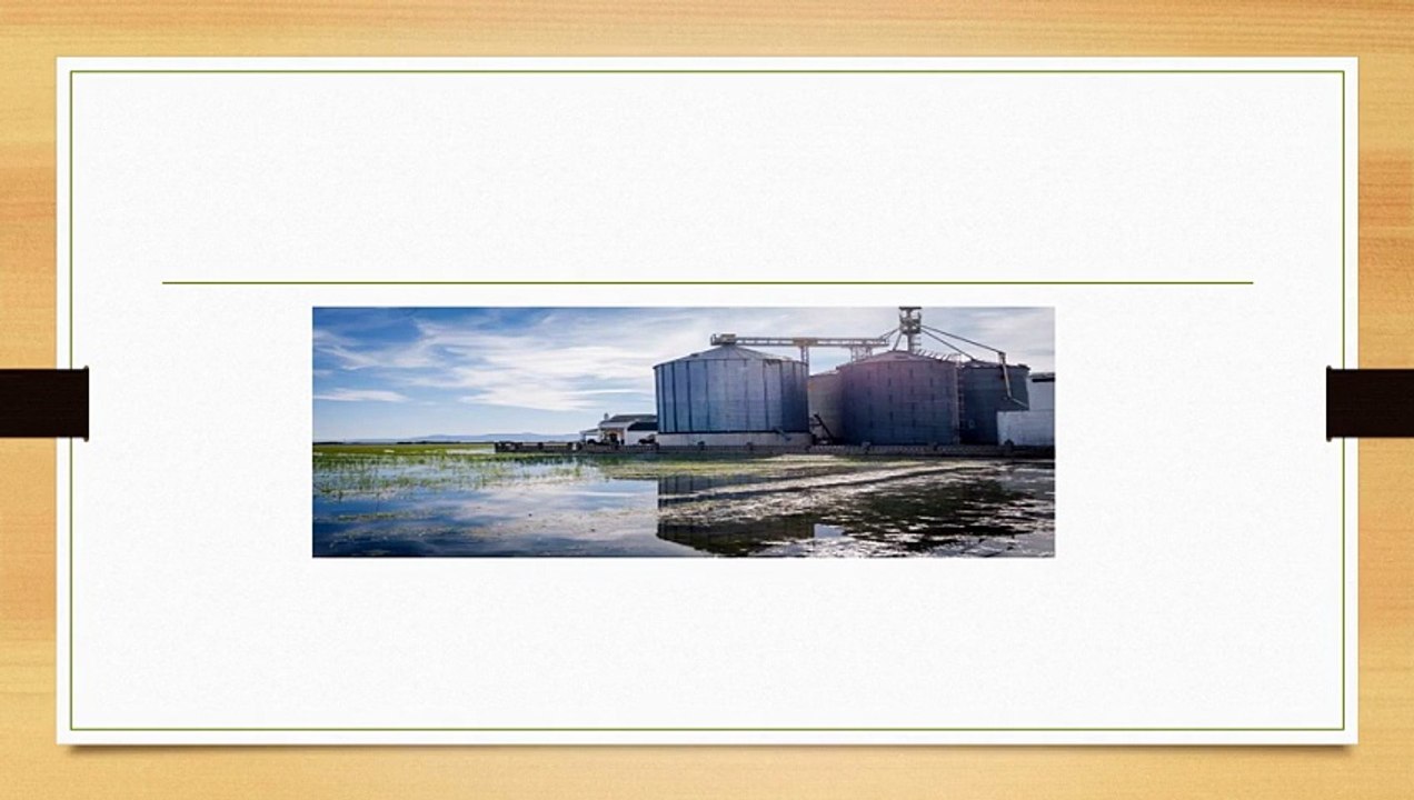 Grain Storage Hopper Silos in India and Rice Mill Pre Cleaner Machines