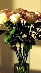 💛🍏 🔥 How I Faked Blindness, Exposed My Husbands Affair & His Shocking True Identity (2025) - FULL HD [Eng Sub]