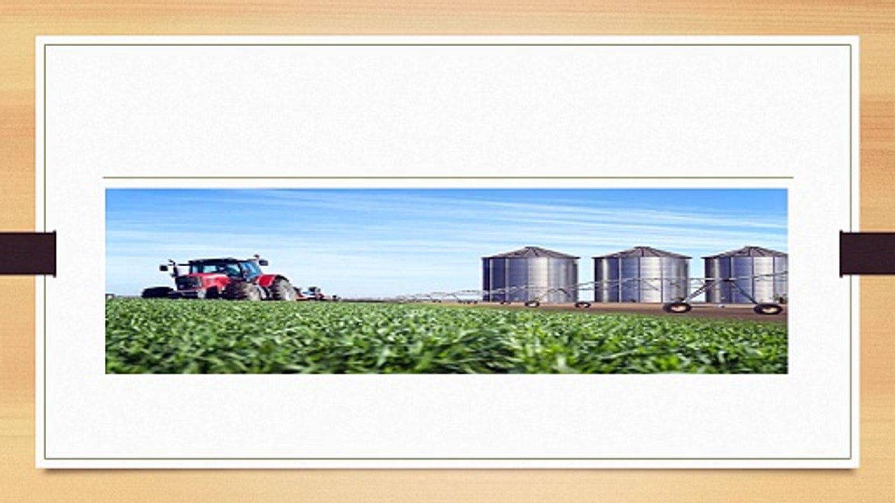 Hopper Bottom Silos for Grain Handling in India