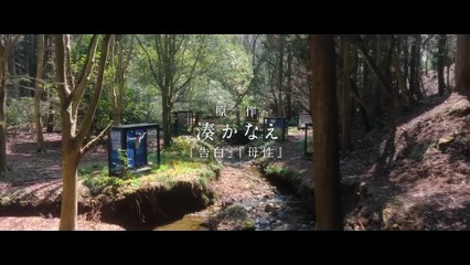 Human Specimens - Ningen Hyôhon - Trailer