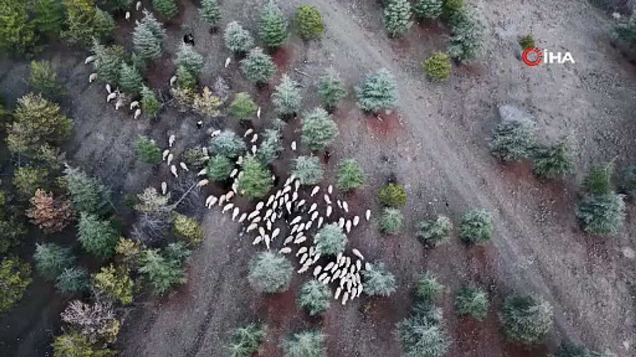 Gel de isyan etme! 1,2 milyon metrekarelik meraya imar planı iddiası ortalığı karıştırdı