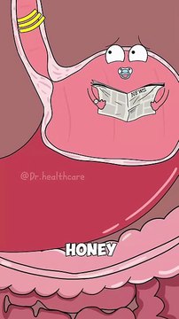 animation of human body organs part 1