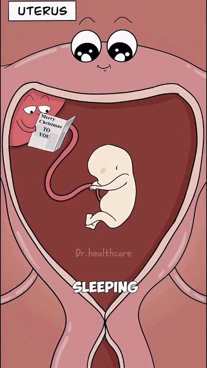animation of human body organs part 3
