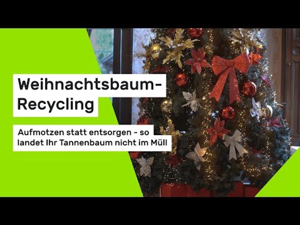 Weihnachtsbaum-Recycling: Aufmotzen statt entsorgen - so landet Ihr Tannenbaum nicht im Müll