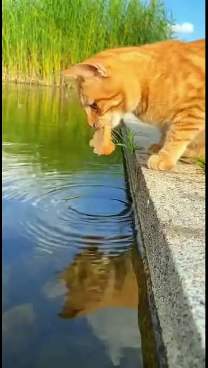 AQOpFUO-u_WpmT1Sl2grpaOG2eV9HjwhsiXcBrnXQrtsM4-mpAsSV8Pl5VuclmtfAWIdgpbIarmX64RtUJrmpGxa4xBxhDKQfcLHtxJkBRM-pQ